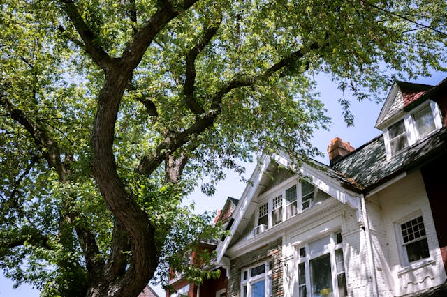 Residential-Properties
